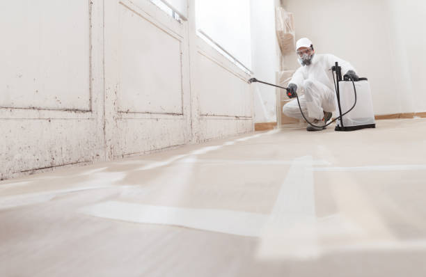 24/7 Emergency Mold Remediation experts in Boiling Springs, NC