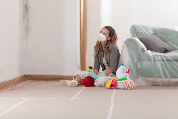 Reliable Mold Remediation contractor in Boiling Springs, NC by WQB Mold Removal